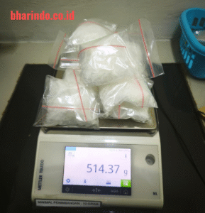 Babuk 514,37 gram