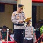 WhatsApp Image 2025-03-21 at 09.50.52