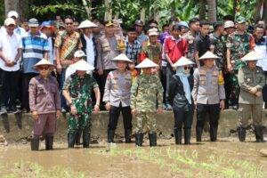 WhatsApp Image 2025-04-07 at 18.08.43 (1)