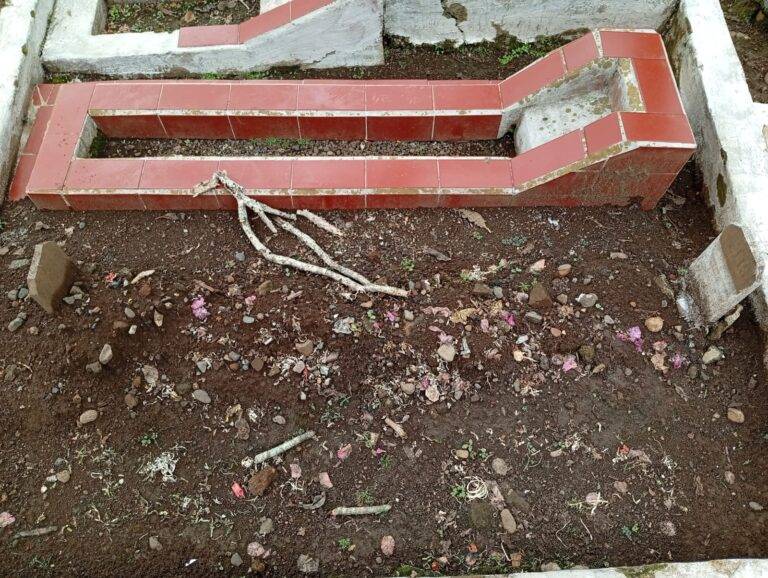 WhatsApp Image 2025-04-08 at 02.10.13