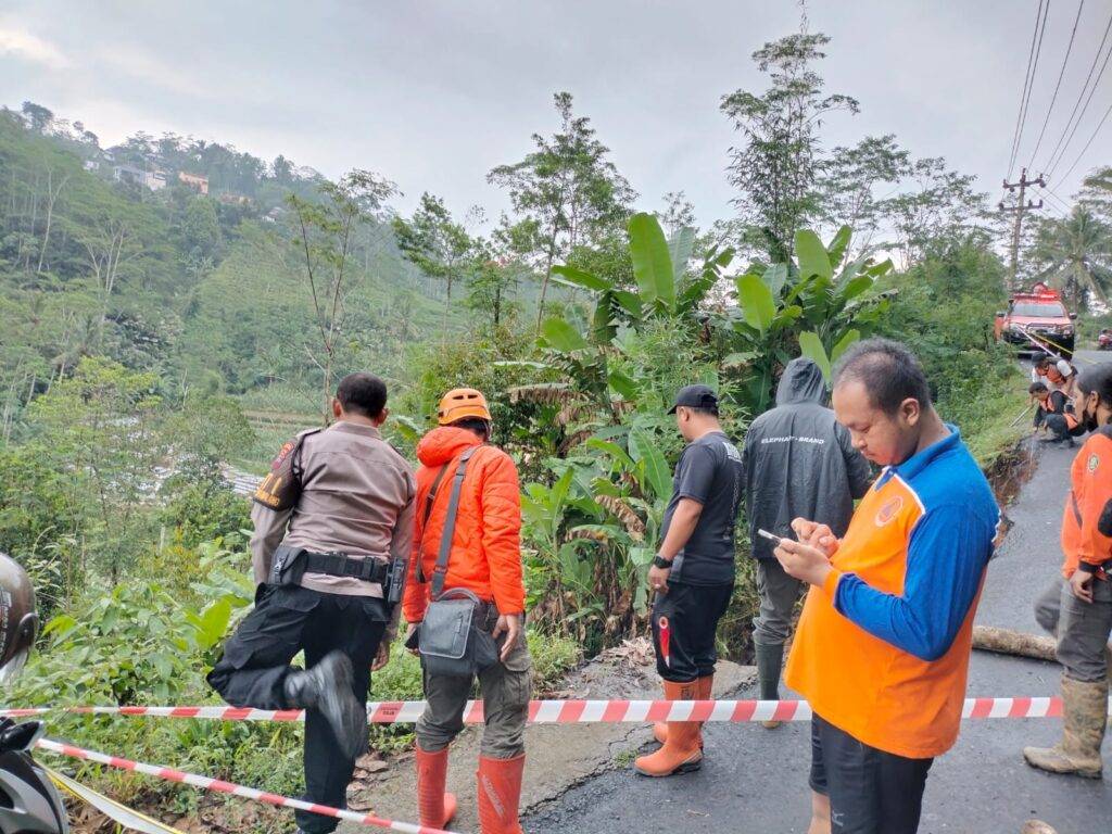 WhatsApp Image 2025-04-14 at 11.11.18