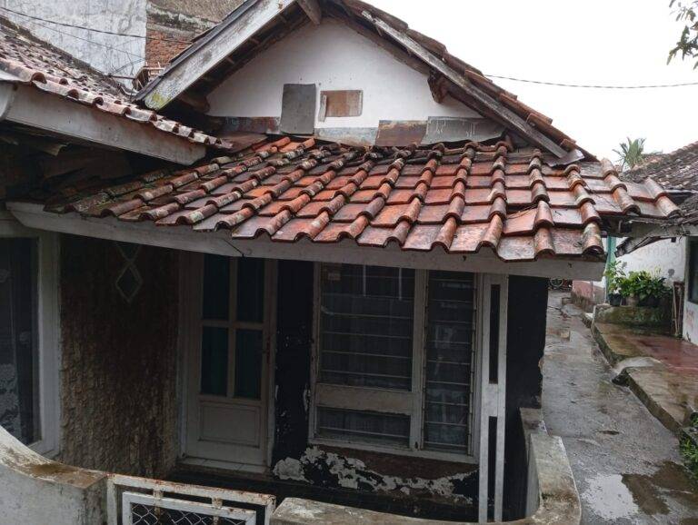 WhatsApp Image 2025-04-19 at 19.43.16