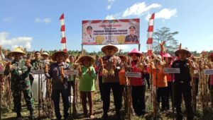 IMG-20250512-WA0018-1-768x435