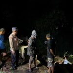 WhatsApp Image 2025-05-17 at 10.04.17