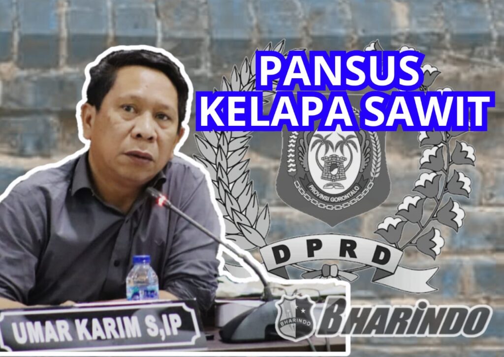 WhatsApp Image 2025-05-30 at 20.09.29