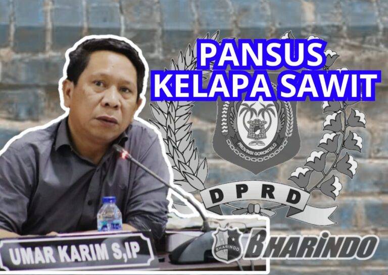 WhatsApp Image 2025-05-30 at 20.09.29