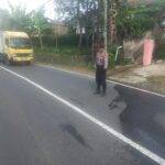 IMG-20250617-WA0075