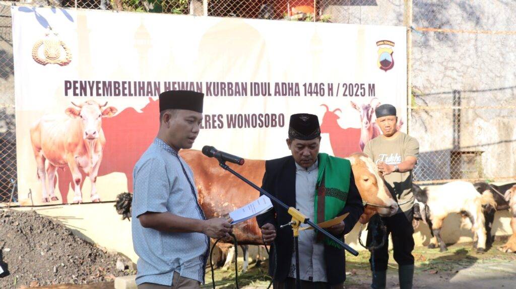 WhatsApp Image 2025-06-06 at 11.42.55