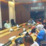 WhatsApp Image 2025-06-11 at 10.10.10 (1)