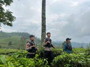 WhatsApp Image 2025-06-13 at 13.55.27