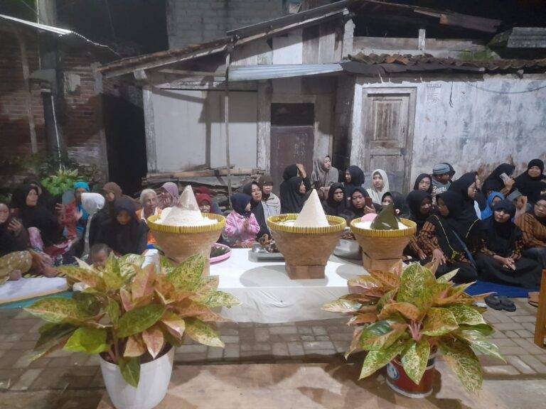 WhatsApp Image 2025-06-27 at 04.23.24