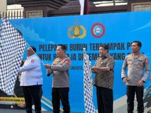 image (20)
