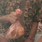 WhatsApp Image 2025-07-02 at 15.05.34