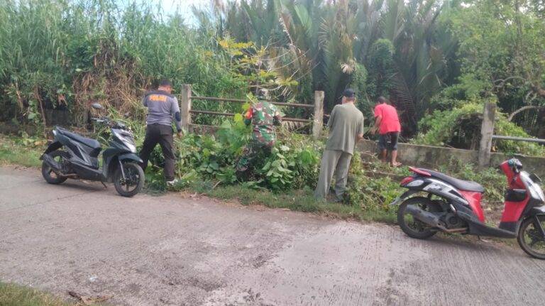 WhatsApp Image 2025-07-02 at 16.51.17