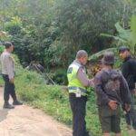 WhatsApp Image 2025-07-02 at 17.34.02