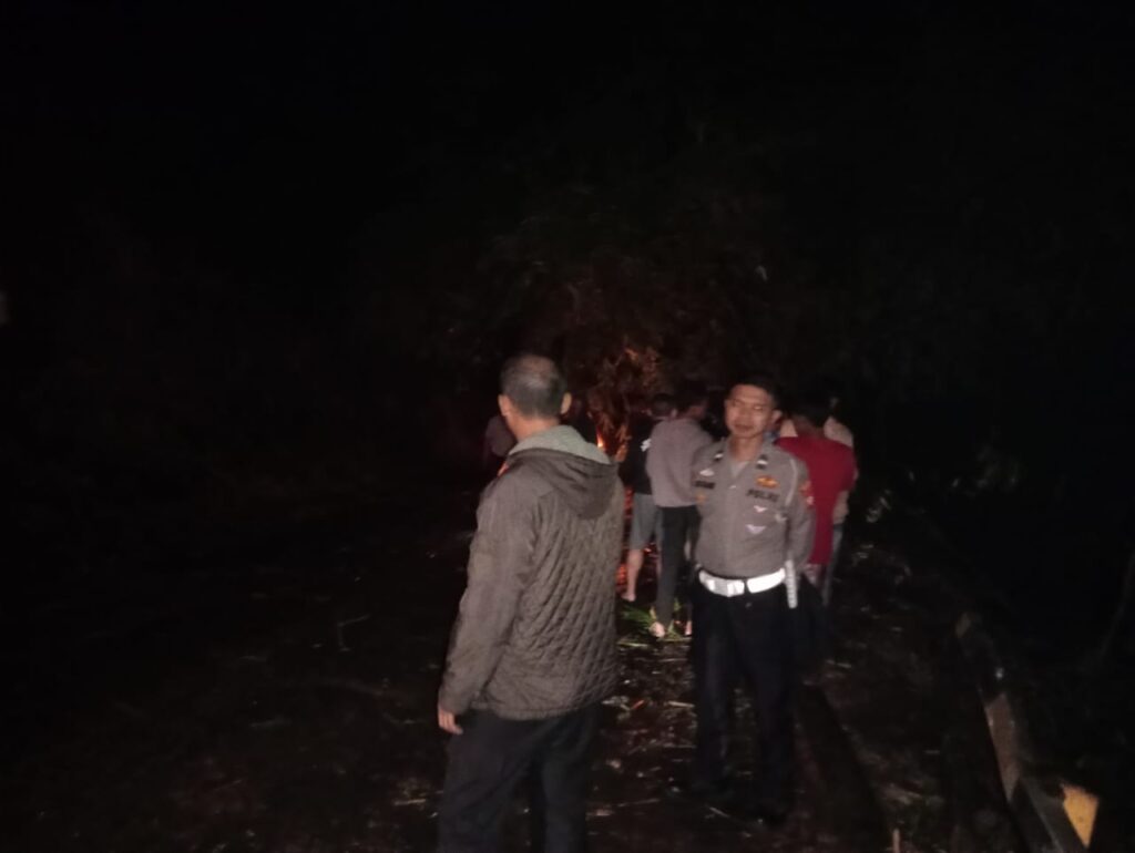 WhatsApp Image 2025-07-08 at 15.15.54