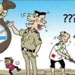 WhatsApp Image 2025-07-12 at 15.33.57