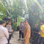 WhatsApp Image 2025-07-14 at 23.50.24 (1)