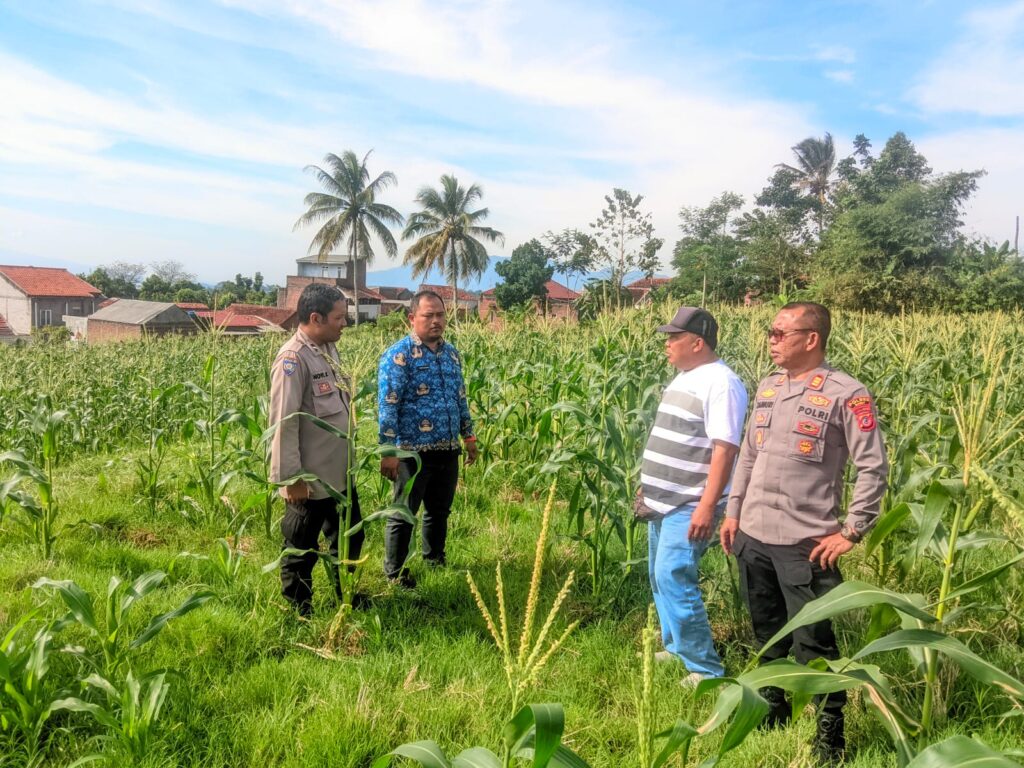 WhatsApp Image 2025-07-18 at 19.18.50 (1)