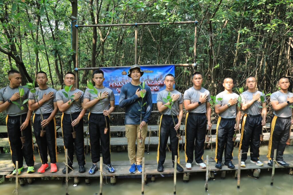 cbffb053-d01a-4873-999e-babee9085e4b_119168