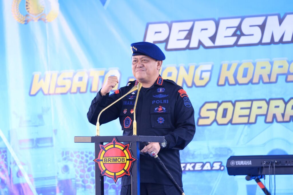 94b823bf-3d6a-4fb8-84c8-ec3824254eef_44187