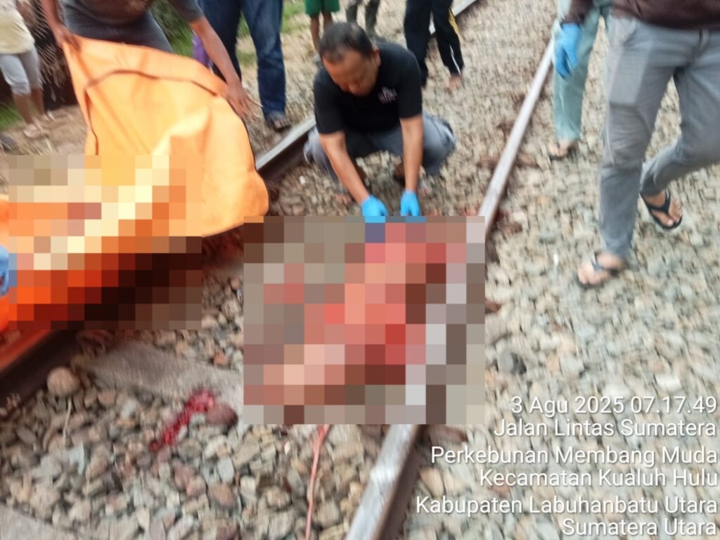 WhatsApp Image 2025-08-03 at 16.55.32