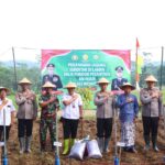 WhatsApp Image 2025-08-06 at 13.18.18