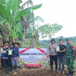 WhatsApp Image 2025-08-21 at 11.46.52