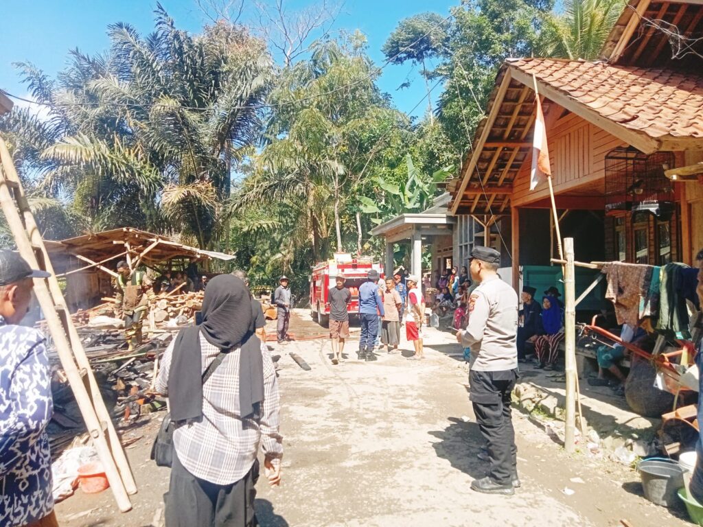 WhatsApp Image 2025-08-26 at 19.45.46