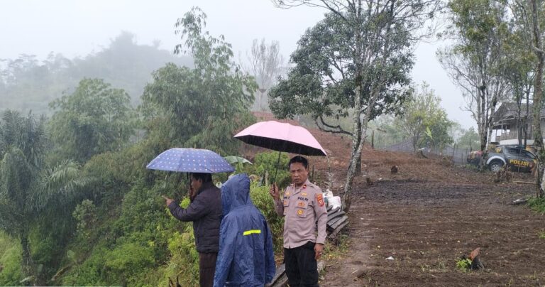 WhatsApp Image 2025-08-29 at 17.43.52