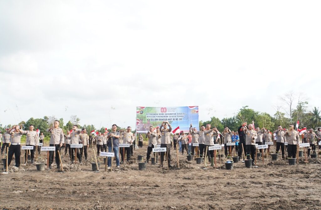 image - 2025-08-17T065856.934