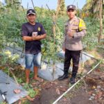 image - 2025-08-27T054435.157