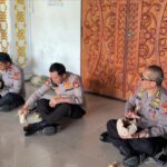 31b80afd-f7c3-4b65-a7c2-b2171136774c_678156