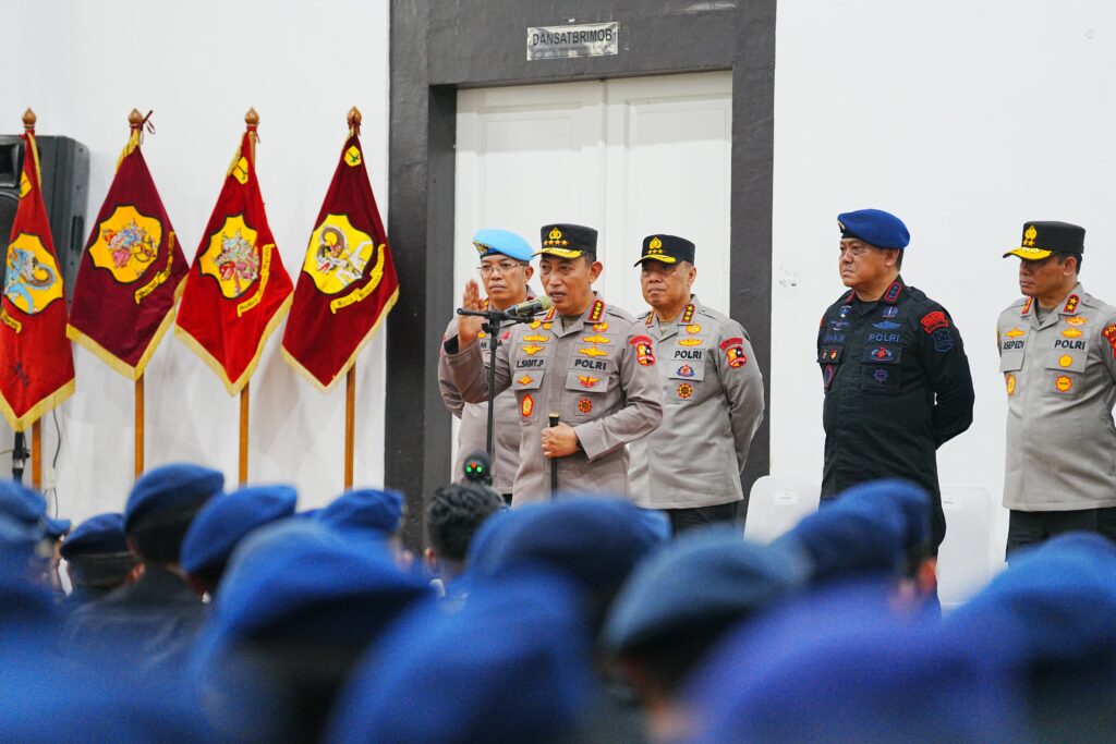 36a99c6e-60c5-4ba8-ad0c-9bf601df820c_542093