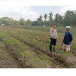IMG_4337_293180
