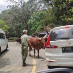 a1be379b-69a8-4cf5-990a-ee1ba100e77f