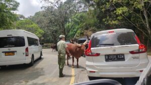 a1be379b-69a8-4cf5-990a-ee1ba100e77f