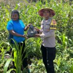 image - 2025-09-30T222115.295