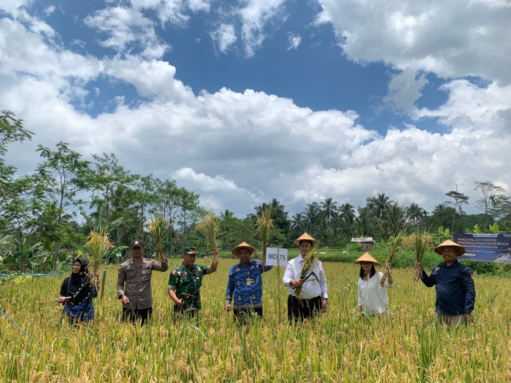 WhatsApp Image 2025-10-01 at 20.02.00