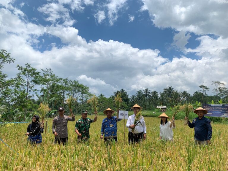 WhatsApp Image 2025-10-01 at 20.02.00