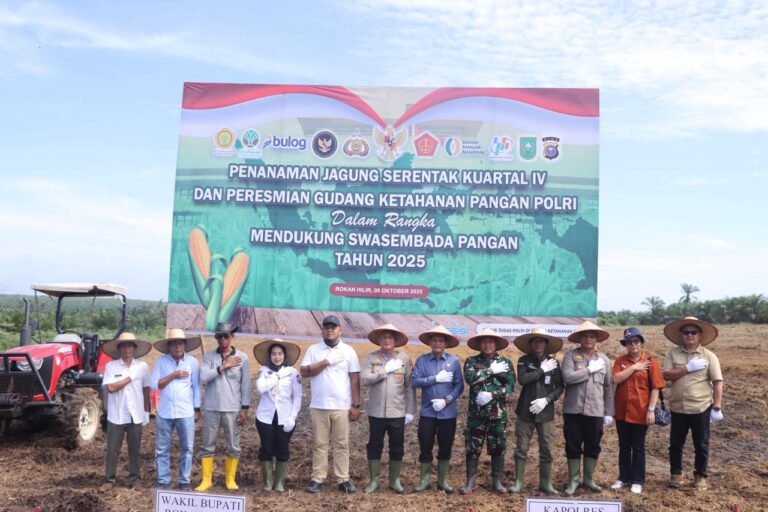 WhatsApp Image 2025-10-08 at 15.21.00