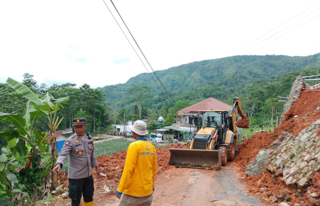 WhatsApp Image 2025-10-29 at 12.59.36