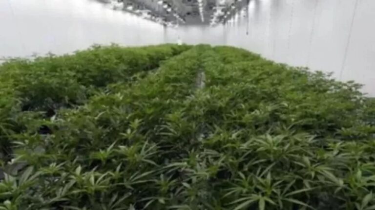 image - 2025-10-03T231942.463