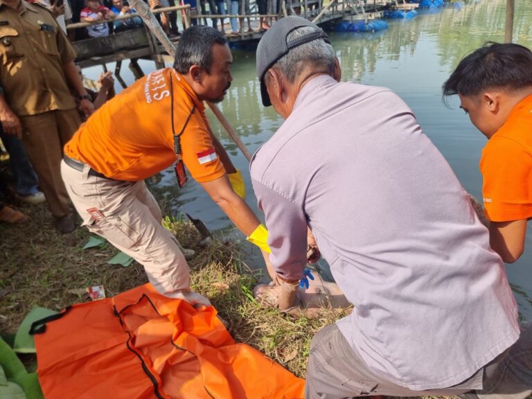 image - 2025-10-11T090559.364