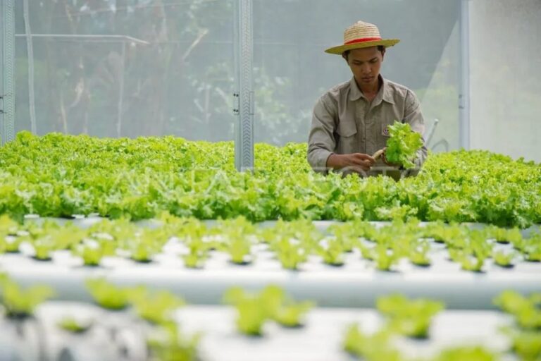 image - 2025-10-23T112746.637