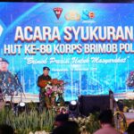 36de3586-f3d8-4ac7-9e9e-c87b72abf51c_339745