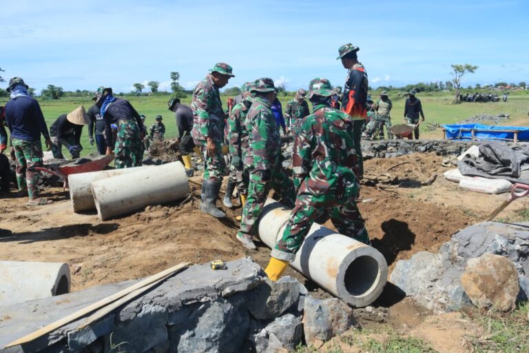 WhatsApp Image 2025-11-01 at 10.57.40 (1)