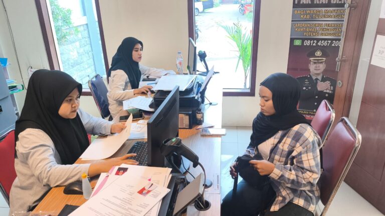 WhatsApp Image 2025-11-03 at 15.04.03