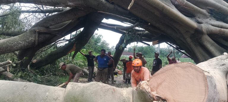 WhatsApp Image 2025-11-04 at 14.56.54 (1)