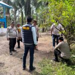 WhatsApp Image 2025-11-05 at 16.12.36 (2)